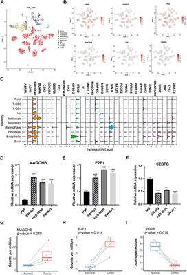 Integration analysis of senescence-related genes to predict prognosis and immunotherapy response in soft-tissue sarcoma: evidence based on machine learning and experiments